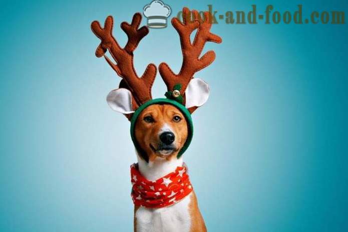 Най-добрите виртуални пощенски картички за Нова Година 2018 - Годината на кучето