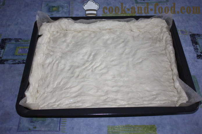 Италианската питка хляб с джинджифил попълване сол - как да се готви италиански питка хляб у дома, стъпка по стъпка рецепти снимки