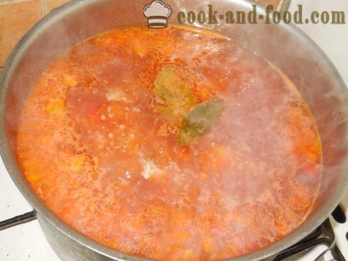 Диетичните супа бульон пуйка със зеленчуци - как да се готви вкусно Турция супа, стъпка по стъпка рецепти снимки