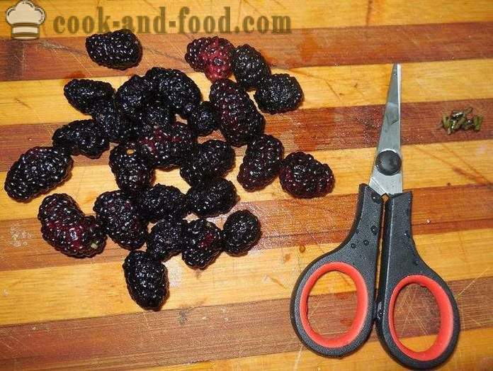 Мармалад касис плодове, черници, кайсии и нишесте - как да се готвя желирани плодове и нишесте, с една стъпка по стъпка рецепти снимки