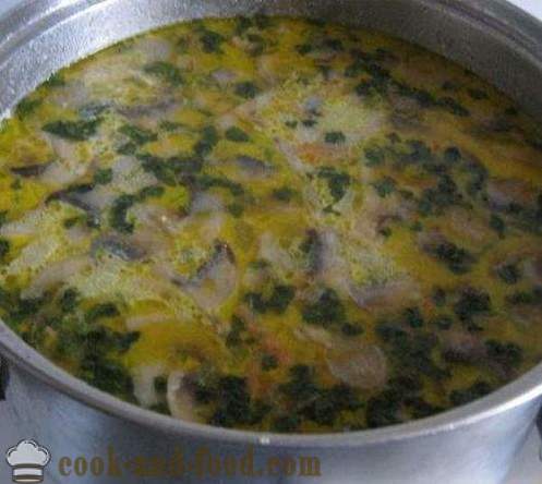 Гъбена супа с гъби и картофи - вкусни, бързи и задоволителни. Рецепта със снимка.