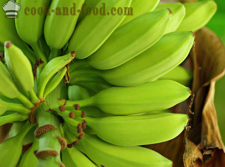Банан: африкански и азиатски десерт супа - видео рецепти у дома